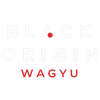 Black Origin